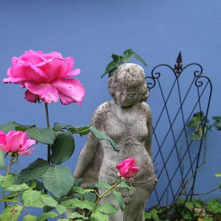 No.31 B&B Im Rosengarten Kapellen-Drusweiler Exterior foto