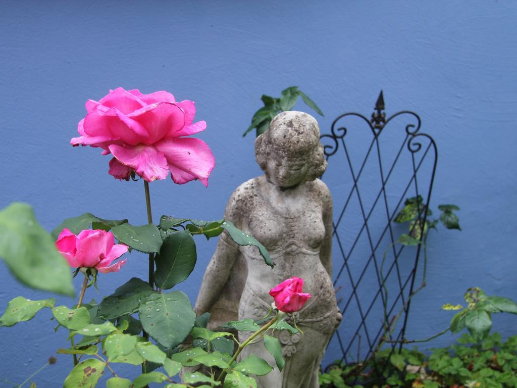 No.31 B&B Im Rosengarten Kapellen-Drusweiler Exterior foto